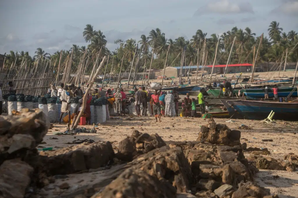 Une grave violation du droit de l’homme dans le nord du Mozambique
