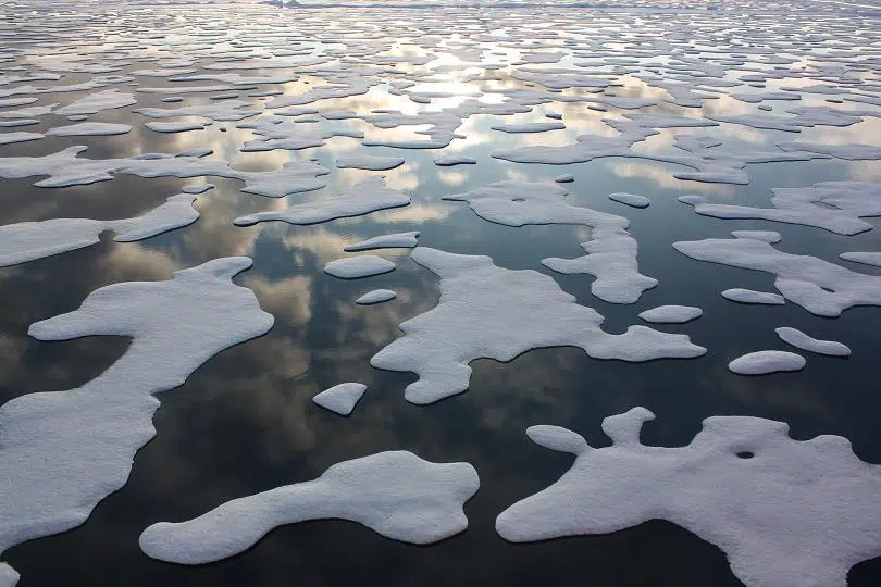 La liquéfaction progressive de la glace arctique: Les conséquences
