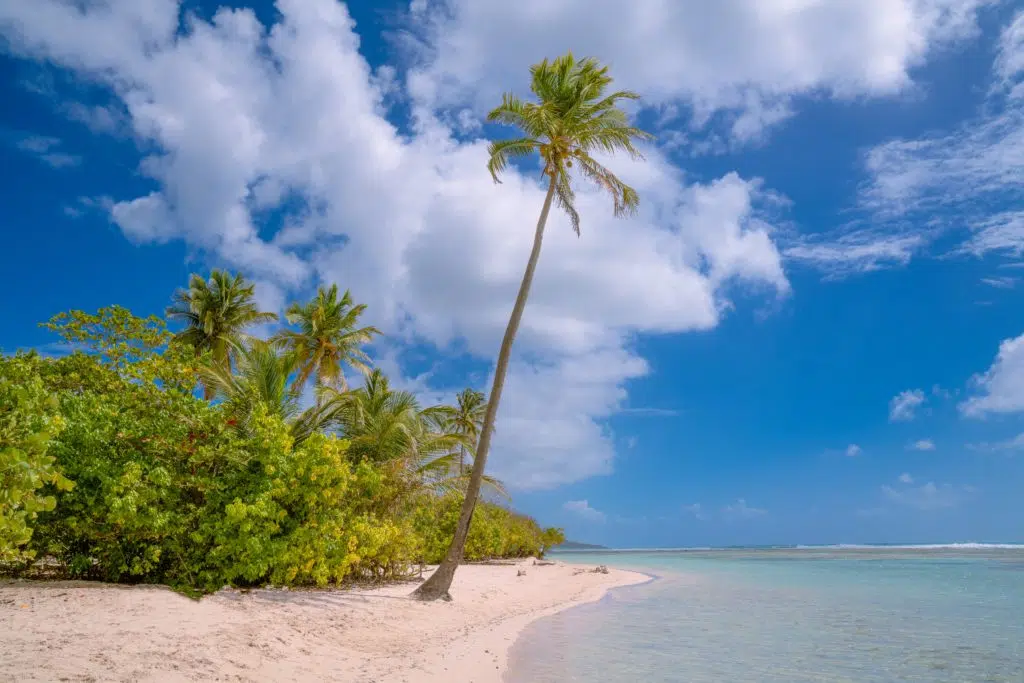 Quelle compagnie choisir pour aller en Martinique ?