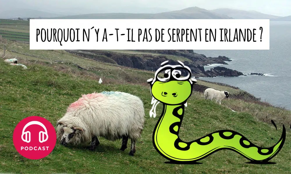Pourquoi il n’y a pas de serpent en Nouvelle-zélande ?