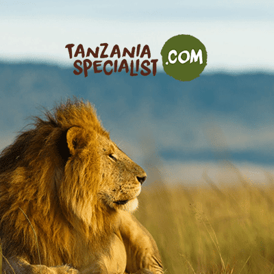 Obtenir un visa pour la Tanzanie