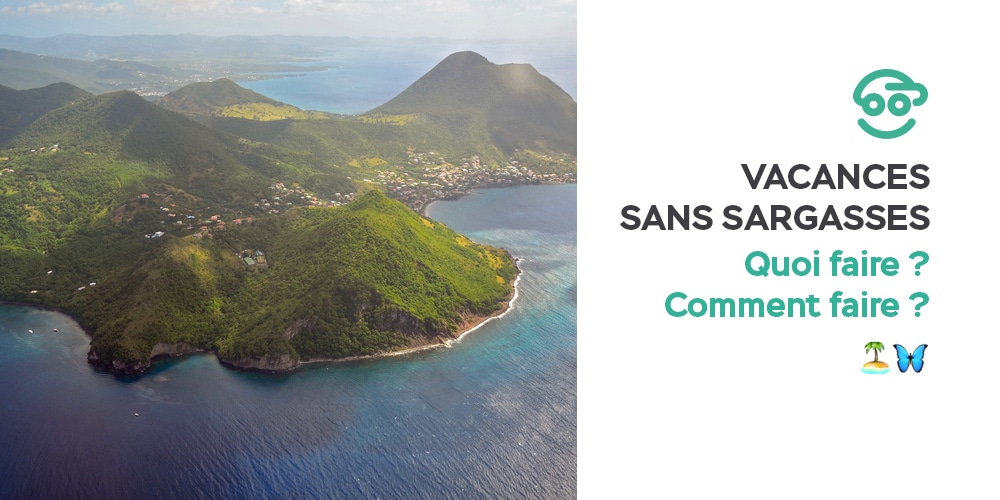 Quelques magnifiques plages préservées contre les algues Sargasses