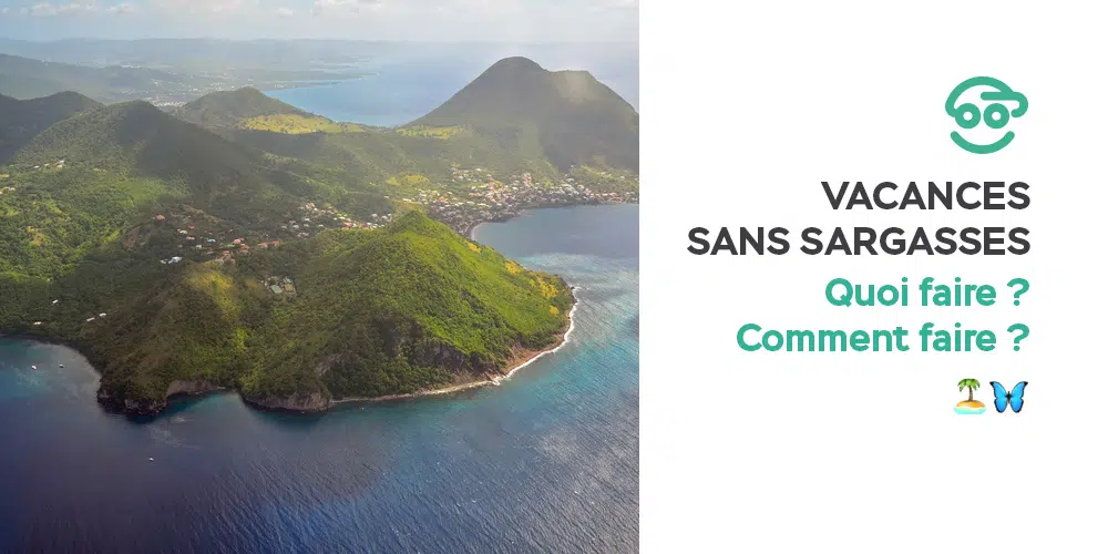 Quelques magnifiques plages préservées contre les algues Sargasses