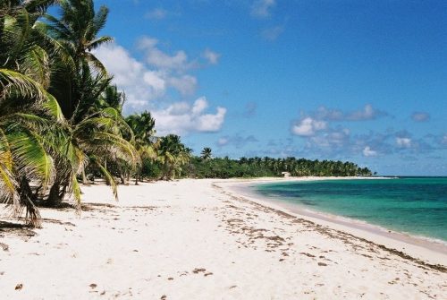 Quelle est la période la moins chère pour partir en Martinique ?