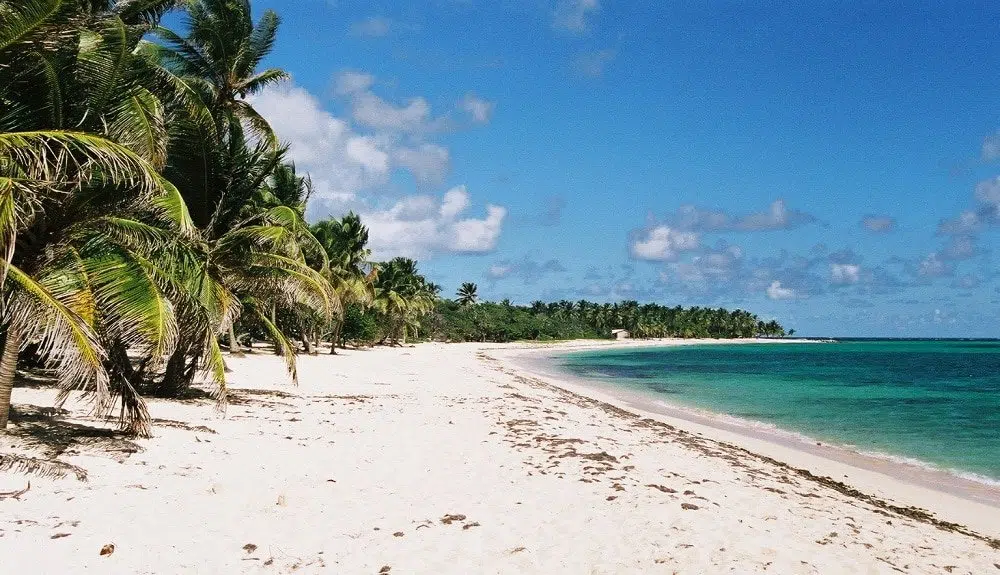 Quelle est la période la moins chère pour partir en Martinique ?