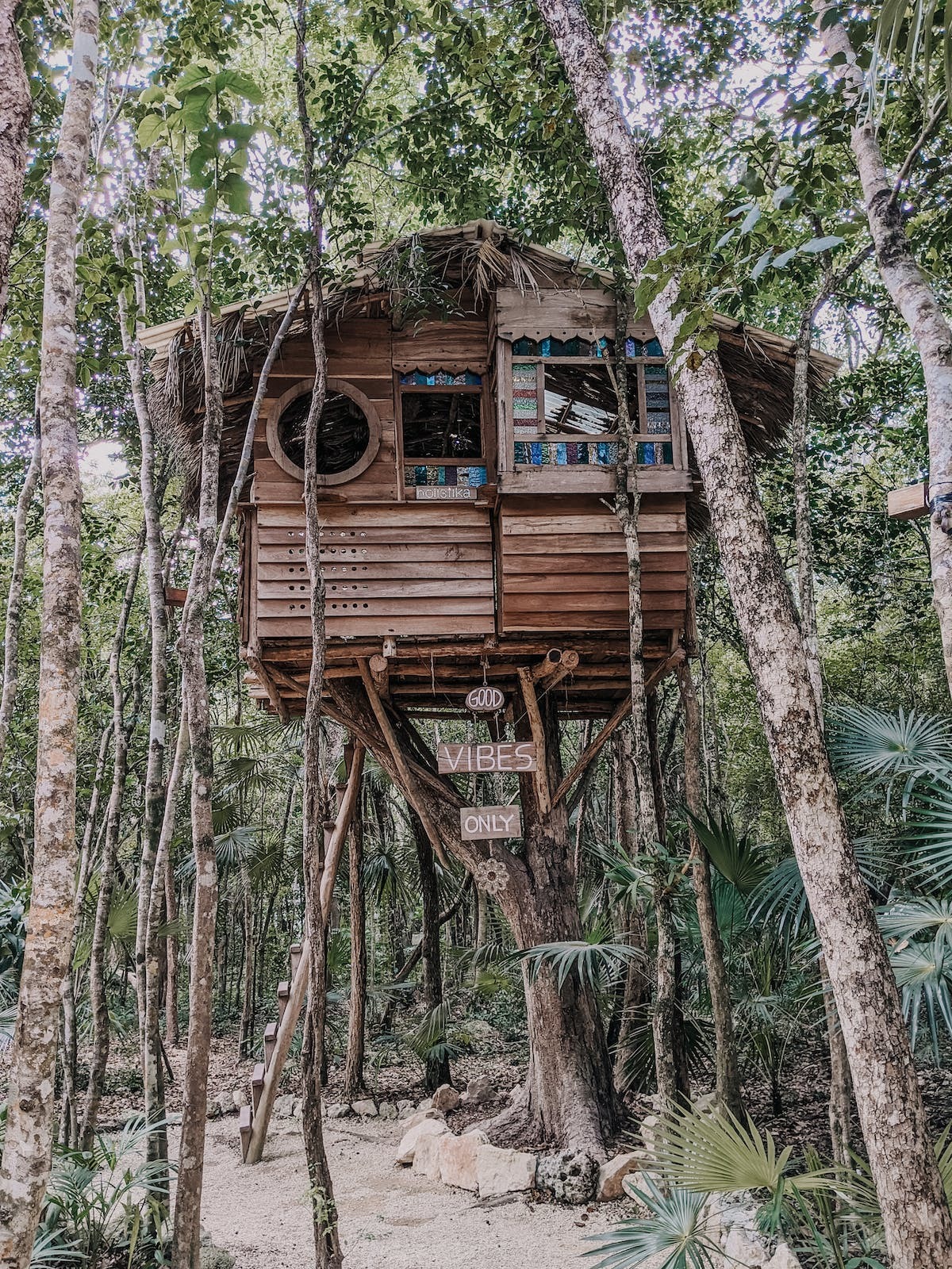 cabanes arbres