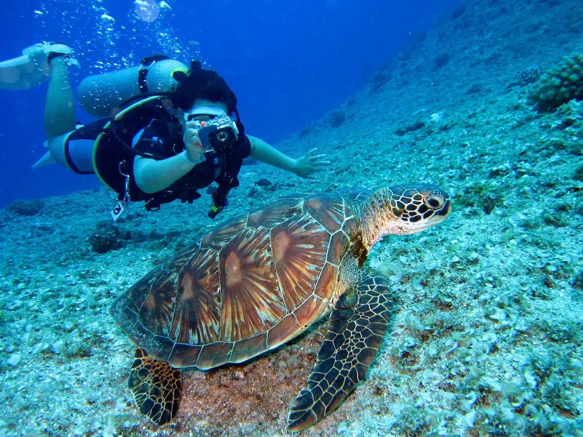 Découvrez les sites de plongée sous-marine les plus incroyables à explorer