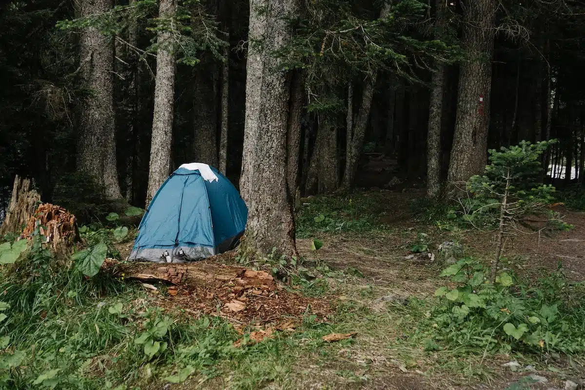 tente  forêt