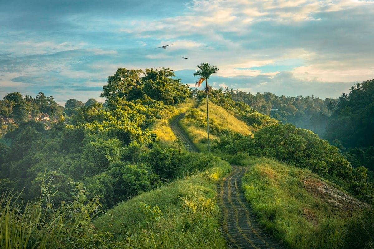 Découvrez les destinations idylliques pour un séjour au coeur de la nature